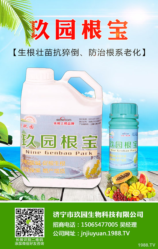 �������x��η����������x��Σ�����l(f��)��Ҏ(gu��)����