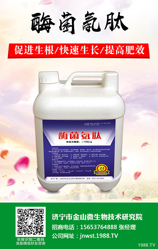 天冬怎樣種植，天冬高產(chǎn)管理技術(shù)！