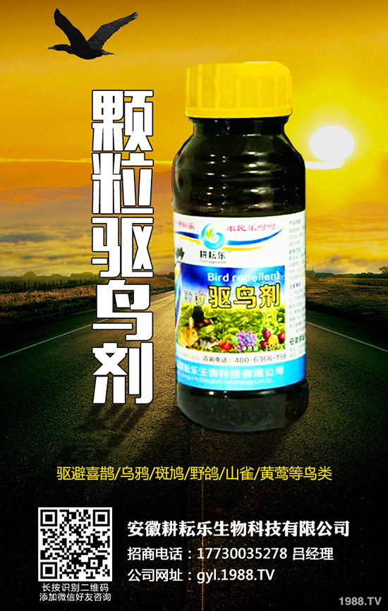 倍硫磷能殺什么蟲?倍硫磷特點(diǎn)作用!倍硫磷使用注意事項(xiàng)!