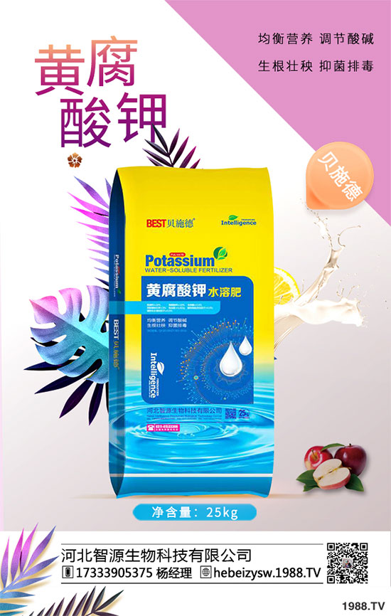 ����ը���ӷNֲ�����¹����༼�g(sh��)��