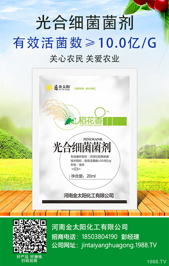 辣椒爛果多原因？辣椒爛果防治辦法！