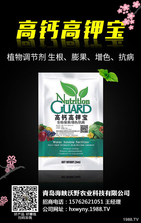 磷銨價格跌勢放緩！2019年11月12日國內(nèi)磷銨價格分析！