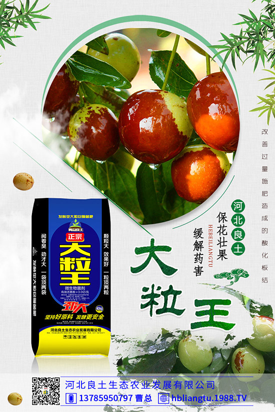 甜瓜落花落果原因有哪些？甜瓜如何提高座果率？