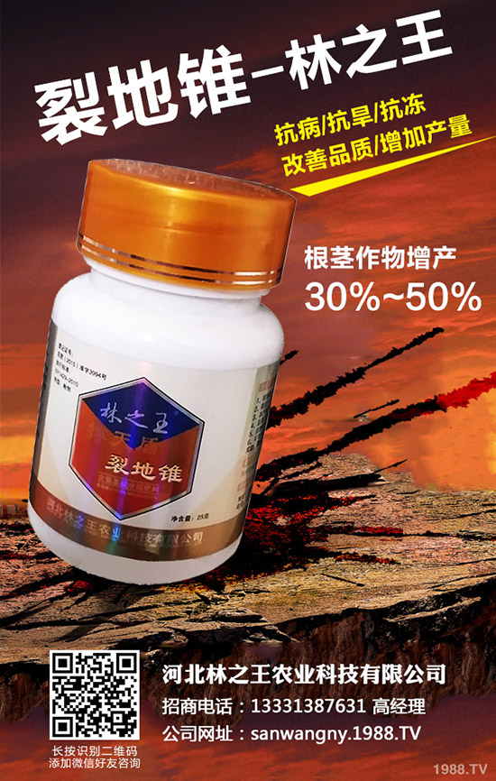 苦瓜裂果是怎么回事，苦瓜裂果防治措施！