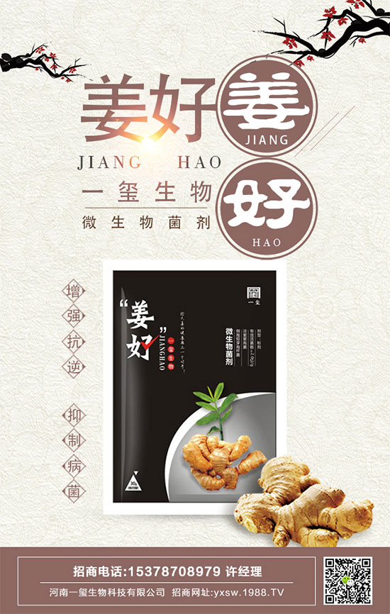 豆角的四個生育期有哪些特點？如何長期保存豆角？