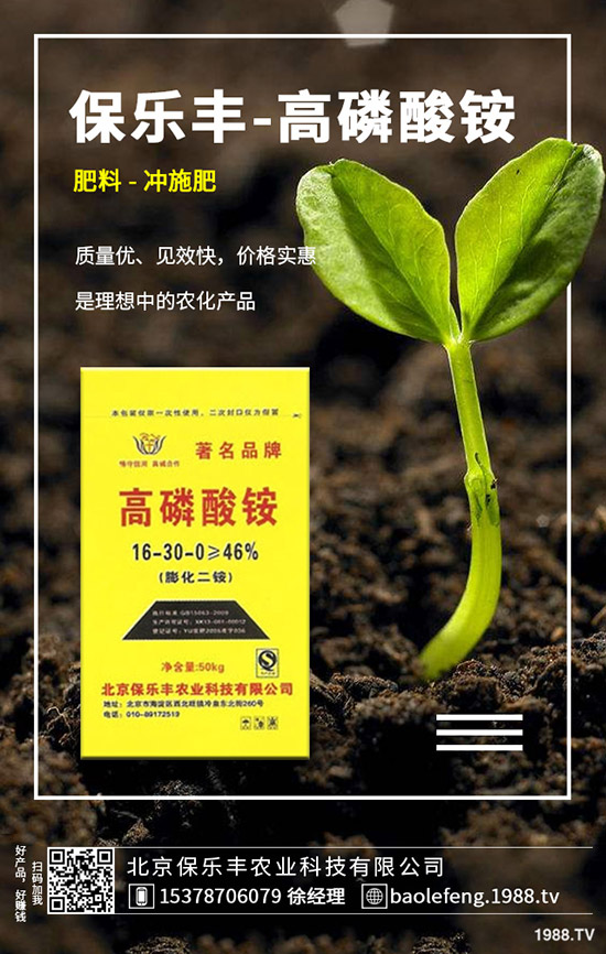 ����(n��i)���@�r����ϝq����2019.11.29���ո������@���S��r��