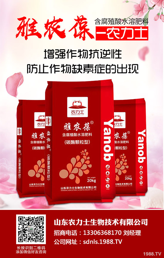     冬儲(chǔ)未開(kāi)始！二銨行情未定！今日二銨最新出廠參考價(jià)格2019-11-5