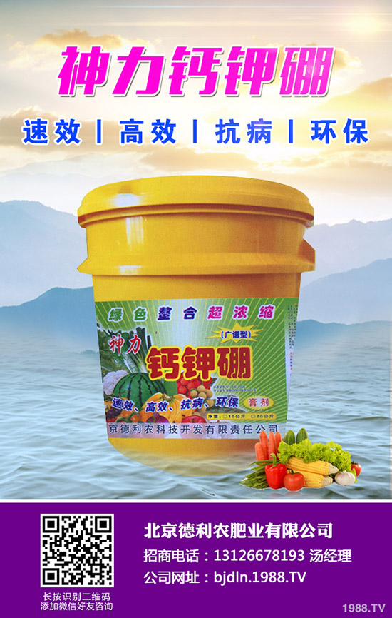 ƽ������ʲô�h(hu��n)���� ��ƽ������h(hu��n)��Ҫ�󼰼���