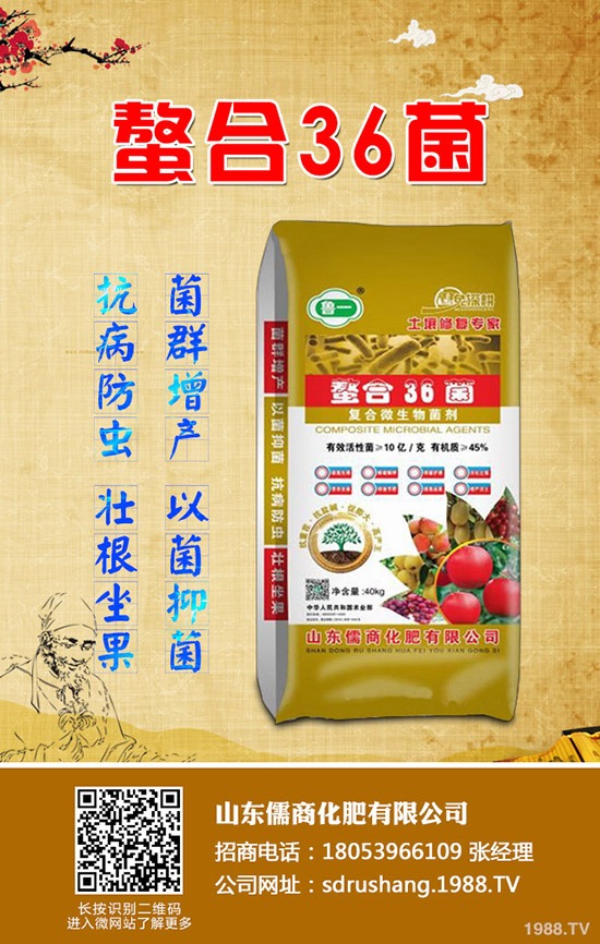     二銨市場(chǎng)行情低迷！2019年11月7日今日磷酸二銨價(jià)格早報(bào)