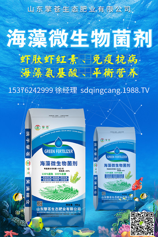     尿素價格跌出新價！2019年11月初尿素行情走勢分析及后市預(yù)測！