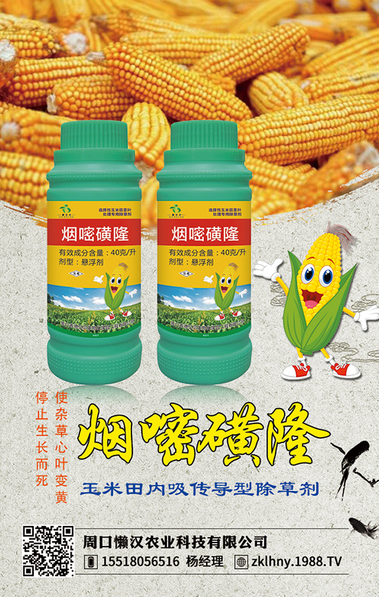 �ܿڑНh�r�I(y��)�Ƽ����޹�˾1