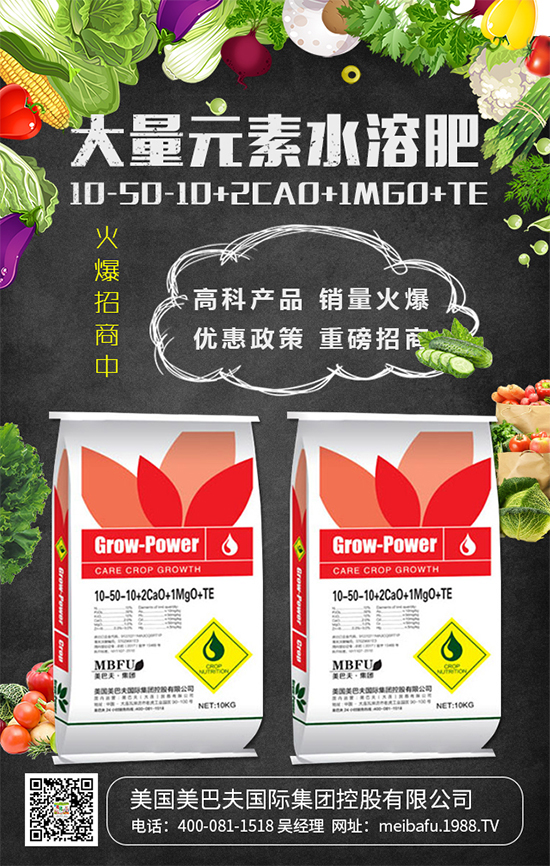 2020年種植什么蔬菜掙錢嗎？2020年種植什么蔬菜前景好？