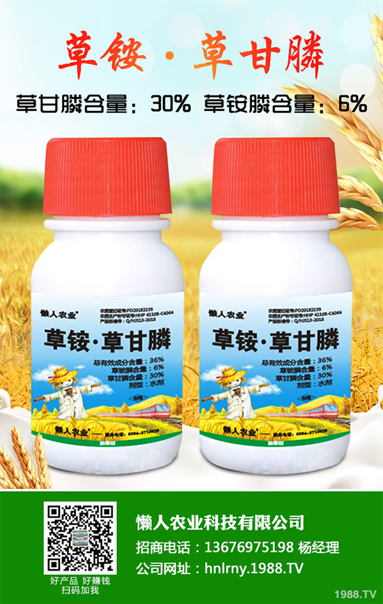 縷、灰藜的勁敵來了青海成功研發(fā)一種微生物除草劑