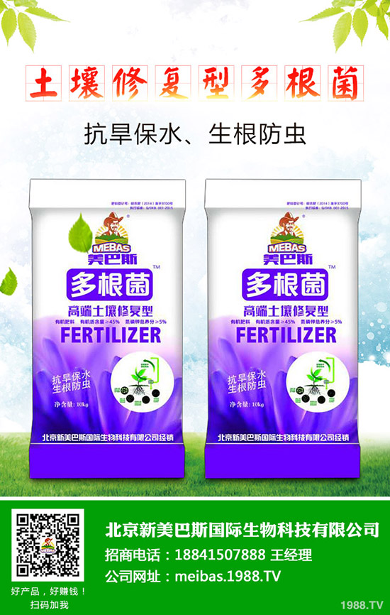 �����Nֲ��ע����Щ��(w��n)�}���������F(xi��n)���_����ô�k��
