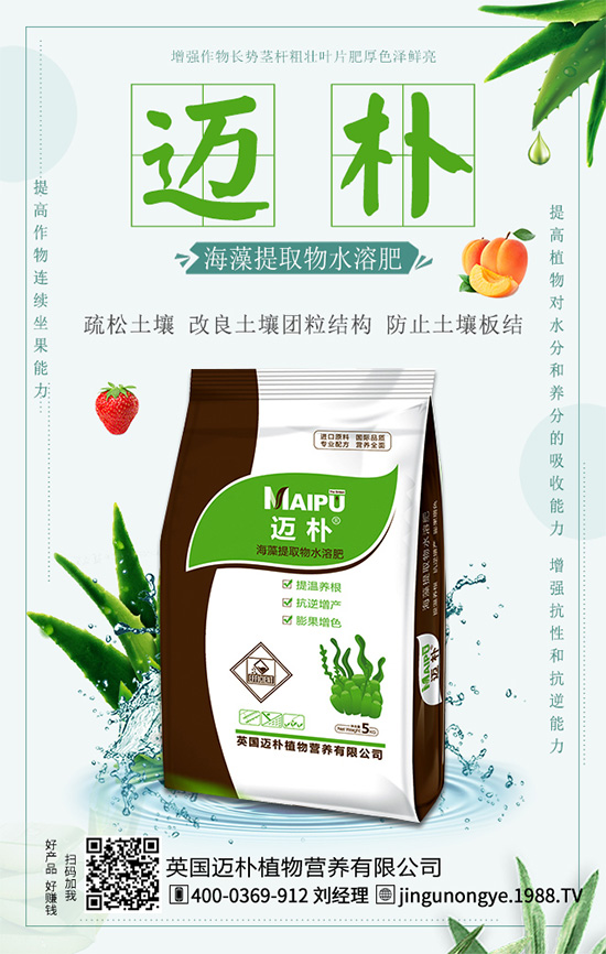 吃柑橘有什么好處？柑橘的營養(yǎng)價值！