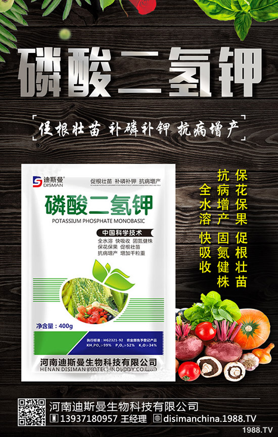 醋栗怎么種植，醋栗種植方法及日常管理技巧！