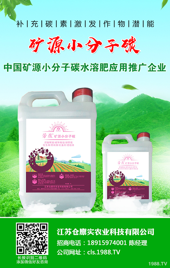 ����������m(x��)������2019-12-21�����������؃r�����