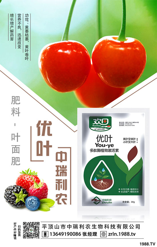 ���(sh��)�������༼�g(sh��)�����(sh��)���ķNֲע�����(xi��ng)��