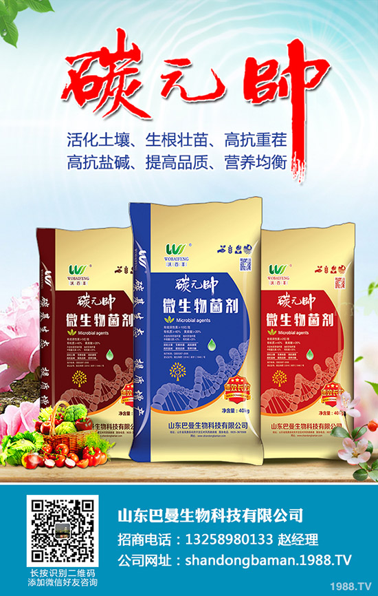     尿素價(jià)格小幅度變動(dòng)！12月24日各地區(qū)尿素主流出廠報(bào)價(jià)！