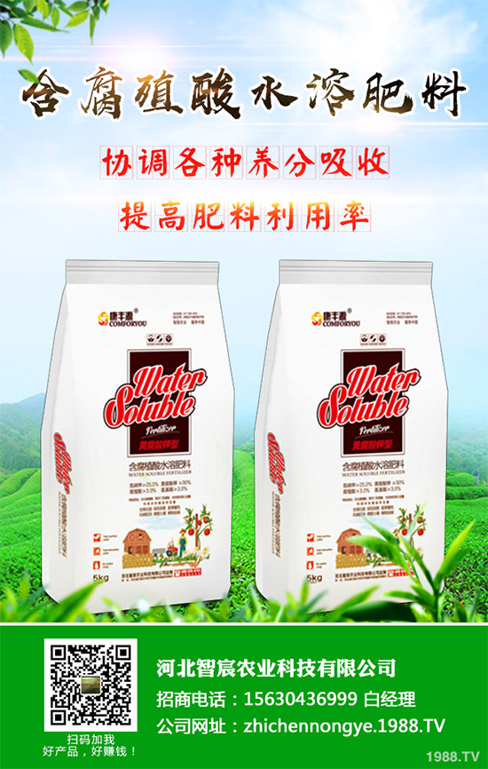 綠花菜該怎么種？綠花菜的高產(chǎn)種植技術(shù)