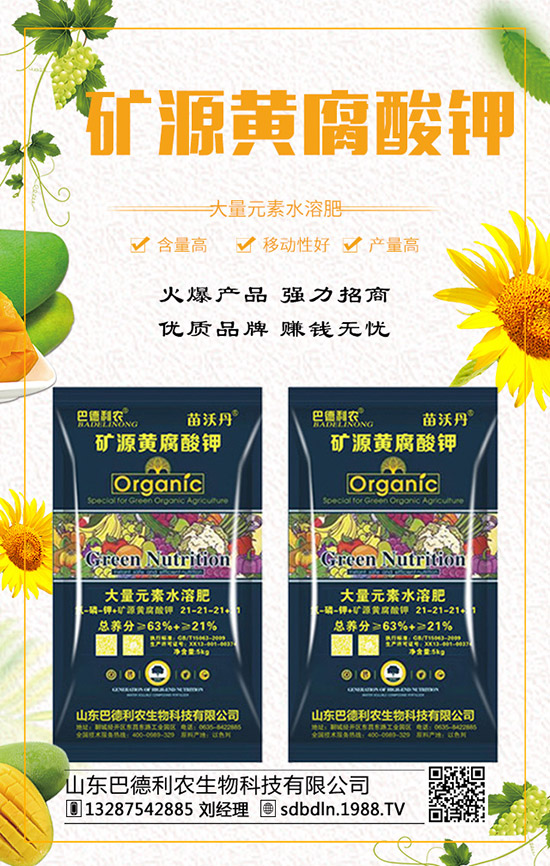     ��(f��)�Ϸ�����q�����F(xi��n)��2019��12��ĩ���r���߄��A(y��)�y��