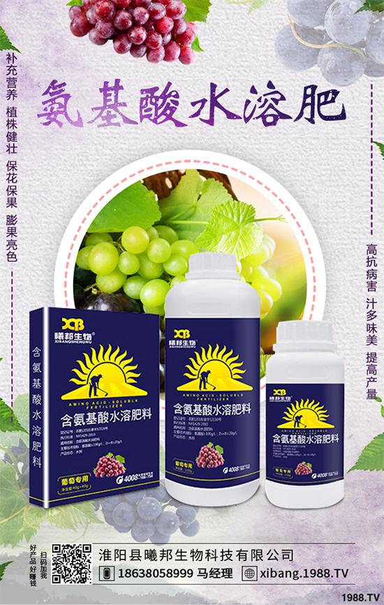 明年種植什么更賺錢？2020年七大賺錢種植項(xiàng)目，快來(lái)看看吧！