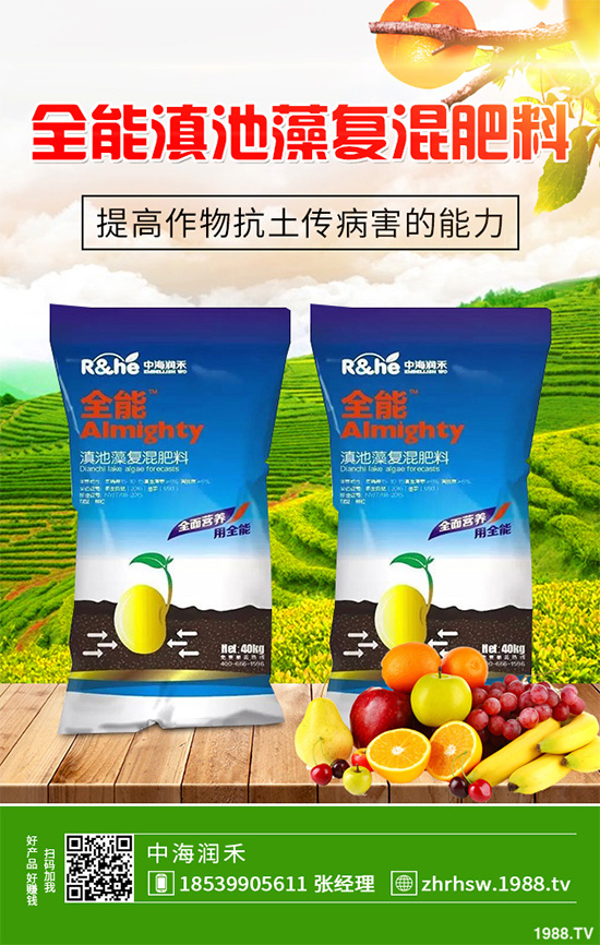 ���r����͸���������Щ�^(q��)�e���ǂ�Ч�����ã�