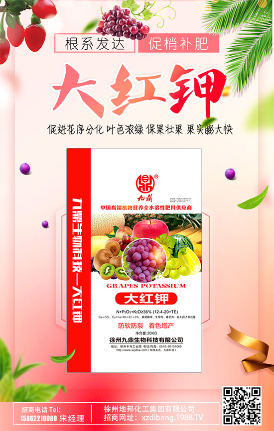 �O�����c(di��n)���~��ɶ�Y��O�����c(di��n)���~����ô������