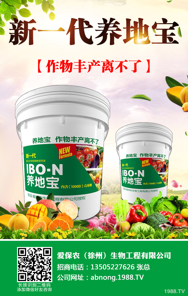 �Ͳ��~�t��ȱʲô���Ͳ˼t������ؼ�����