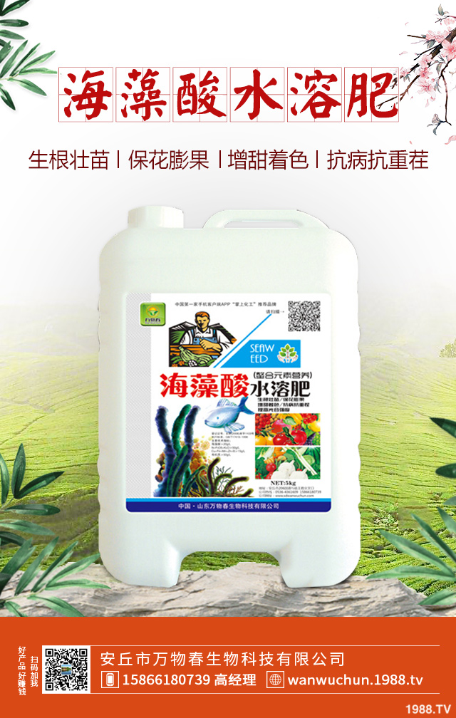 ��Ƥ����ô�Nֲ����Ƥ��ķNֲ��������