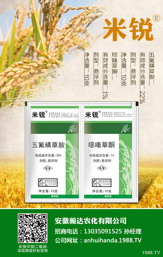 �Բ�������Щ��̎�����˵ĠI�B(y��ng)�rֵ����Щ��