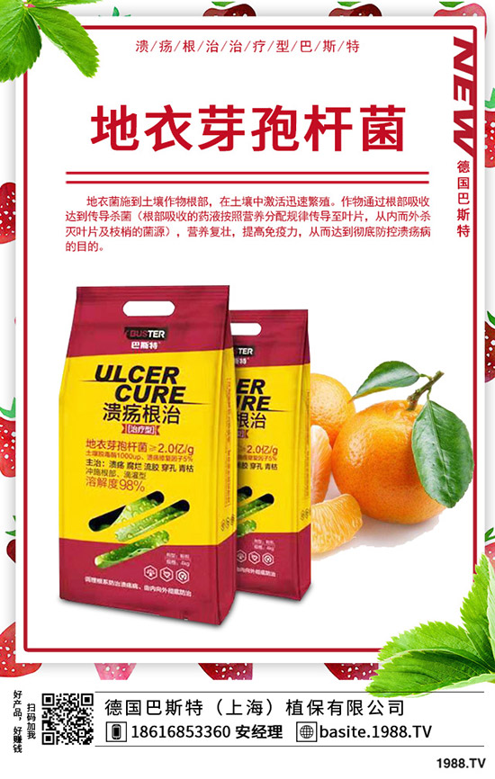     2019��8��30�ս����������؃r(ji��)�������߄����(b��o)
