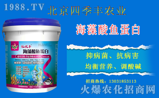 �����ļ��S�c���r(n��ng)���W(w��ng)���m(x��)ǰ�����y�ֹ���(chu��ng)���x����