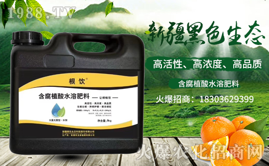 �½���ɫ���B(t��i)��(qi��ng)�����v���r(n��ng)�����̾W(w��ng)����(sh��)�F(xi��n)��I(y��)�°l(f��)չ��