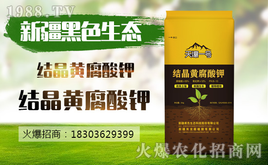 �½���ɫ���B(t��i)��(qi��ng)�����v���r(n��ng)�����̾W(w��ng)����(sh��)�F(xi��n)��I(y��)�°l(f��)չ��