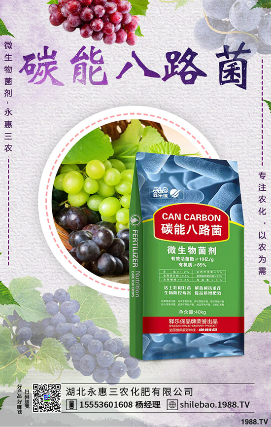     花菜什么時候種植合適？花菜種植時間及種植管理技術(shù)！