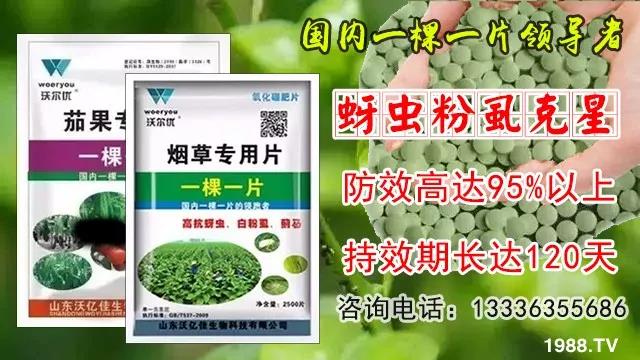 蚜蟲、飛虱防不住？一片藥輕松搞定！預(yù)防率95%，持效長達(dá)120天！