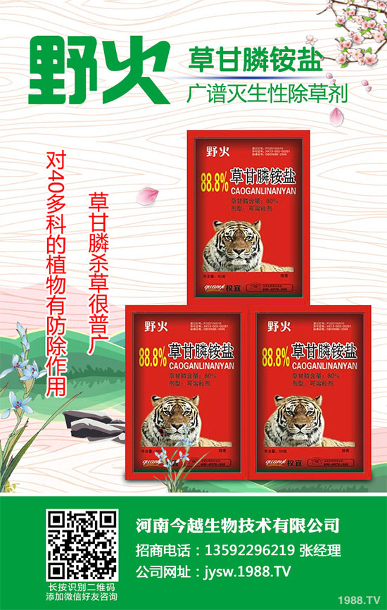 �޻����݄��r��