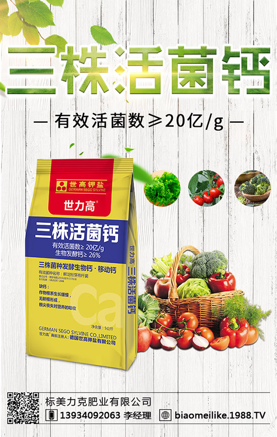 ���S��ʲô�r(sh��)������������S�������ע�����(xi��ng)��