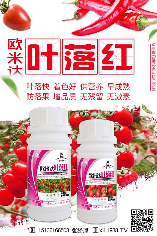 立秋后還能種植韭菜嗎？秋后韭菜管理技巧！