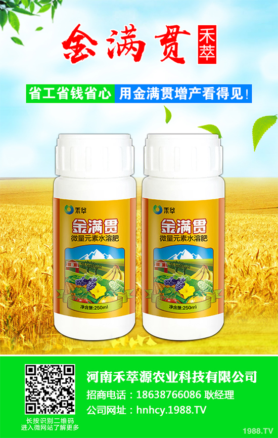 大蔥軟腐病危害這么大，到底該如何防治？大蔥軟腐病的癥狀及防治方法