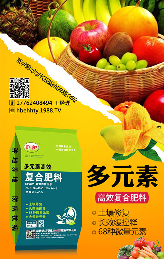 黃皮火龍果怎么種植？黃皮火龍果的種植技術(shù)！