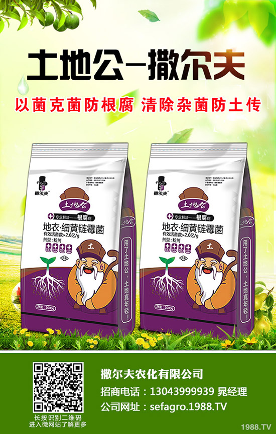     2019��9��ĩ���������Ј��r(ji��)������C�Ϸ���