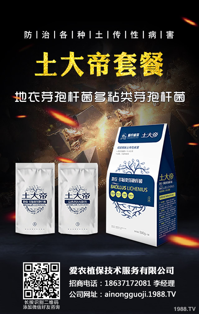 �ﲥС����ô����|(zh��)�����ﲥС������|(zh��)����Ҫ�c(di��n)