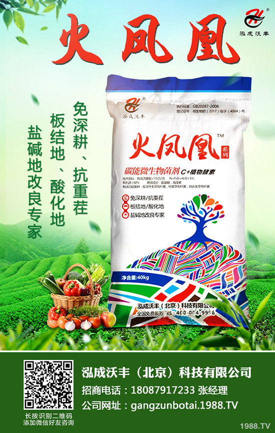     2019��9��4�ս��Շ�(gu��)��(n��i)һ�@�r(ji��)�������߄�(sh��)�A(y��)�y(c��)�C���u(p��ng)��