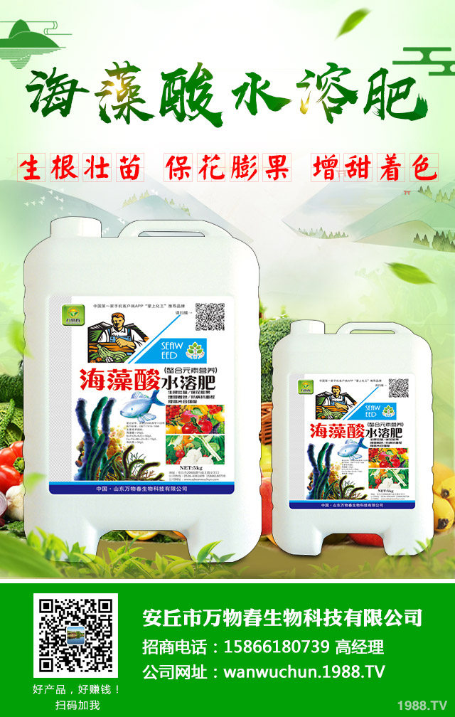 �O����֦�ɲ�����ô�k�������O�������N֦�ɲ���