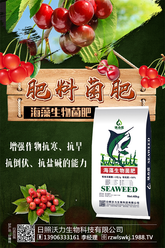 土豆怎么施肥?施什么肥料?土豆施肥要點(diǎn)!