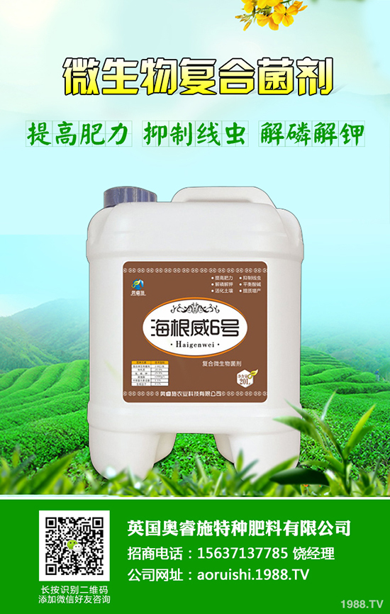 ���۵Ĺ�Ч�c������ʲô���䳲�۵ı�e���I�B(y��ng)�r(ji��)ֵ��