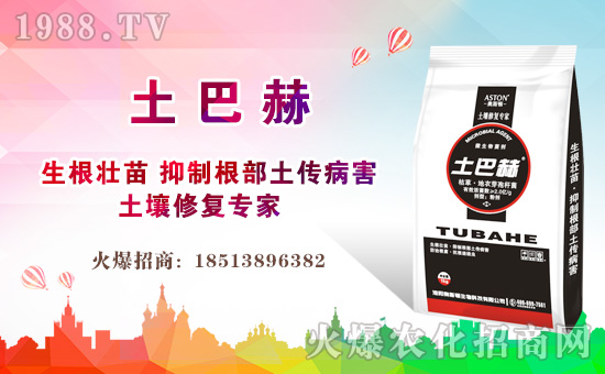     ����ӿ�³����ĺ����u�������������x�Ϛ����˷����P��������҂���e�ɿ��Ȼ��2019��ӭ���˳�Mϣ����2020��ֵ���´�����֮�H���W˹�D����Ƽ����޹�˾��ȫ���������Ѱ�������ף������µ�һ����͚����������w��������ͥ��̩���f�����⣡