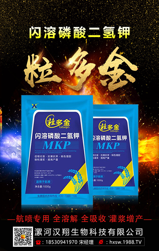 柚子如何種植拔高產(chǎn)量呢？柚子的科學(xué)種植方法！